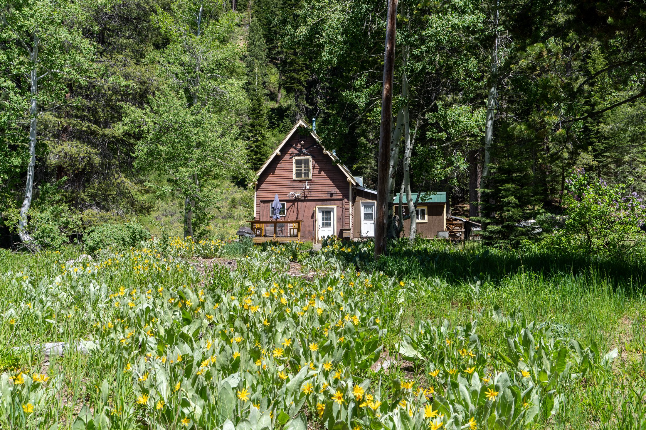 Caretaker's cottage and grounds