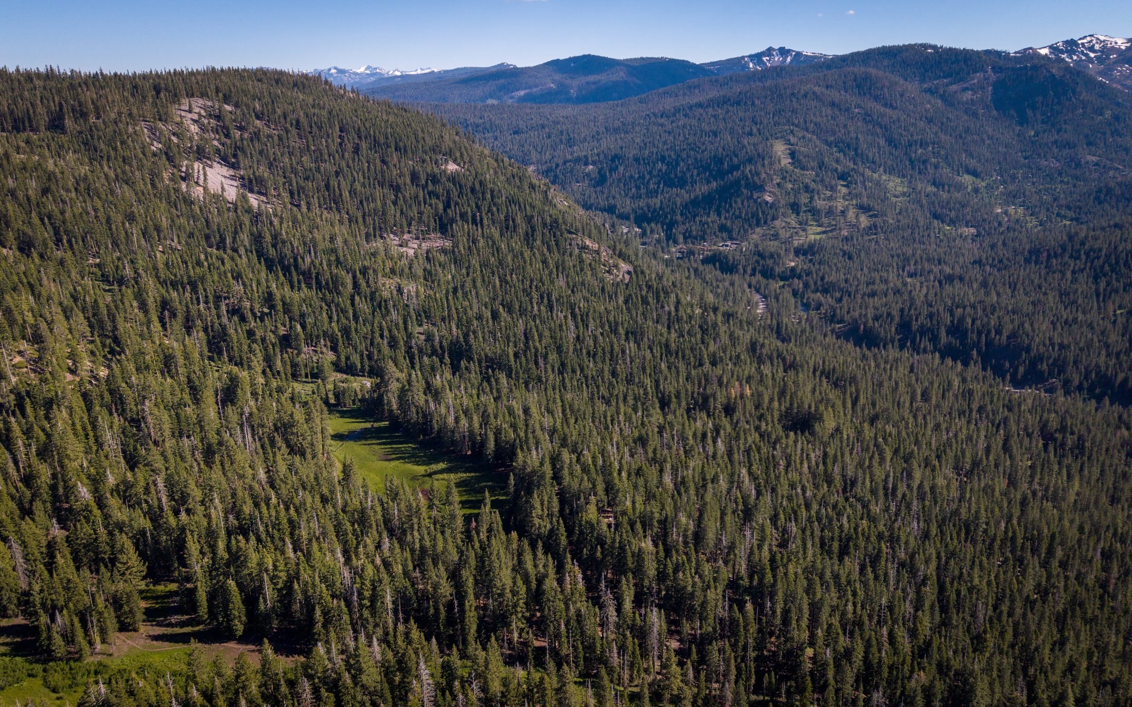 The upper acreage