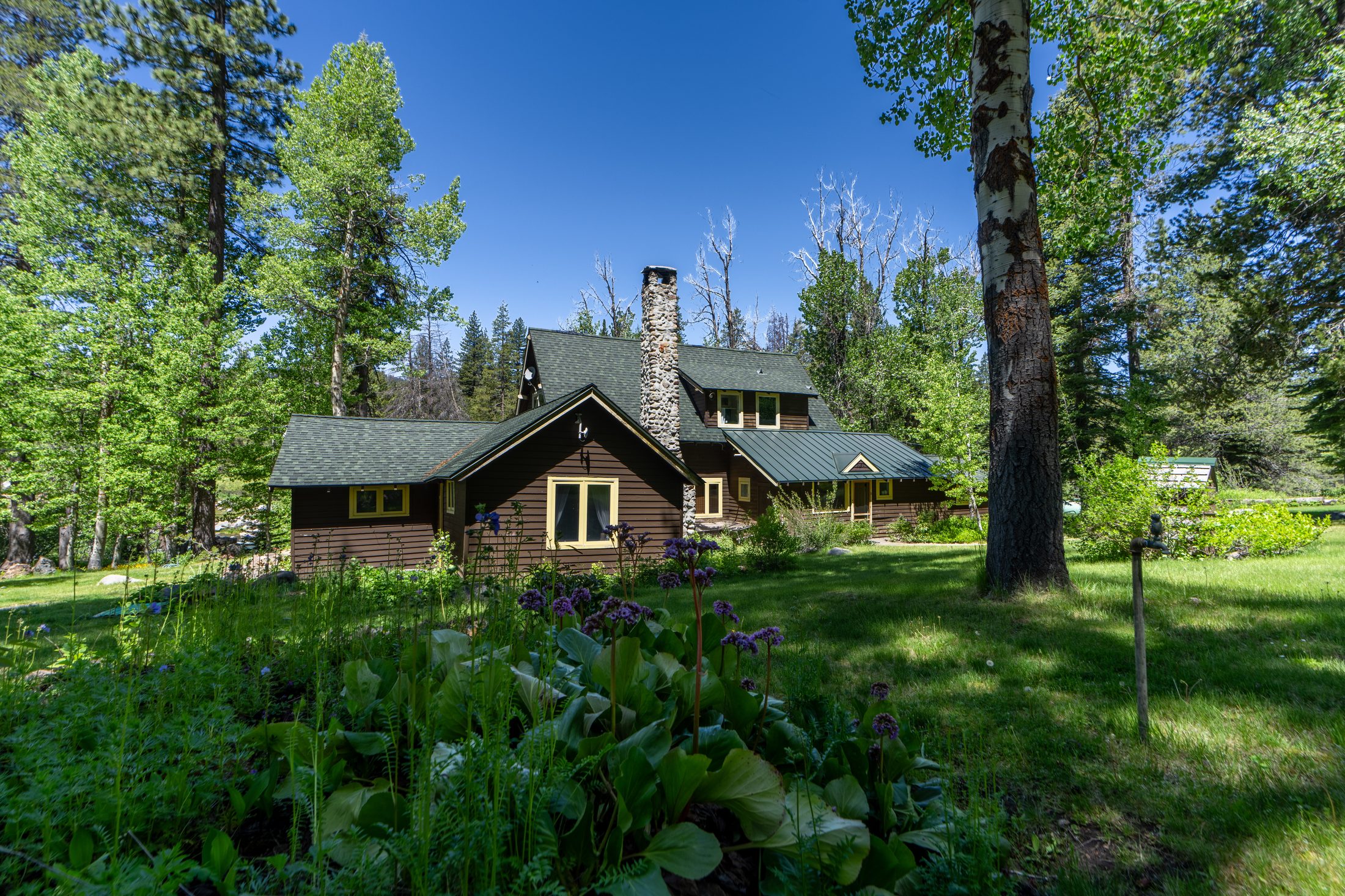 Main residence lawn and wildflowers