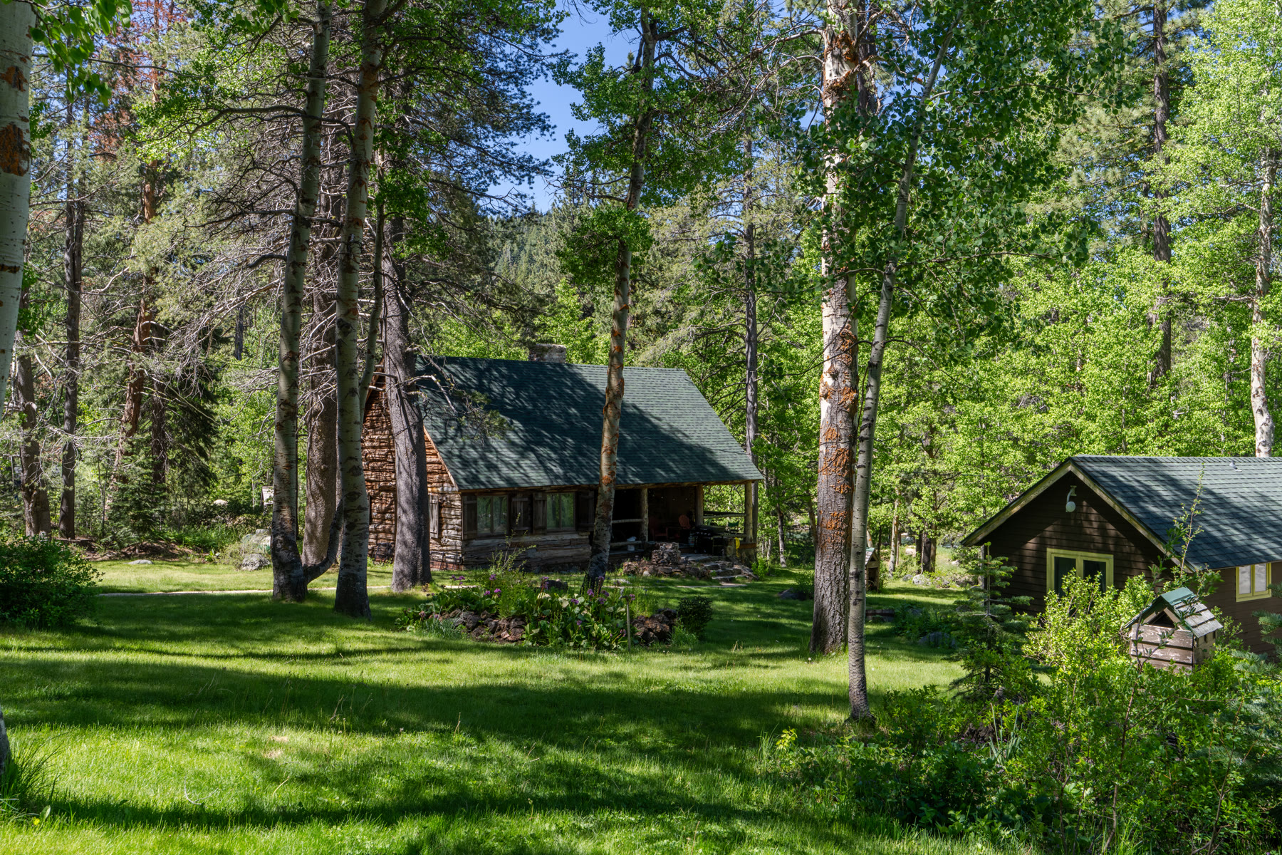 Log guest cottage among aspens